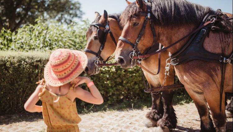 Clervaux-été2020-45