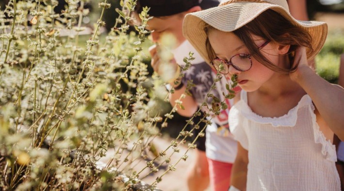 Jardin & Potager