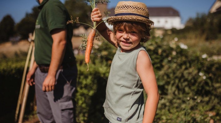 Jardin & Potager