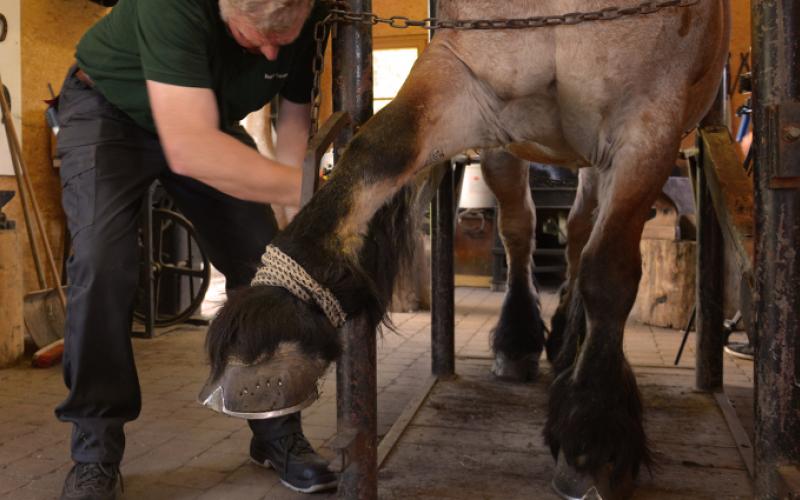 Forge portfolio warmfilter-DSC 3176