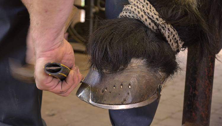 Forge portfolio warmfilter-DSC 3178