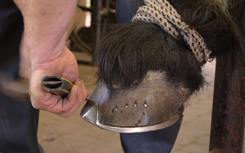 Forge portfolio warmfilter-DSC 3178