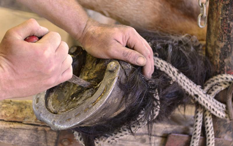 Forge portfolio warmfilter-DSC 5490