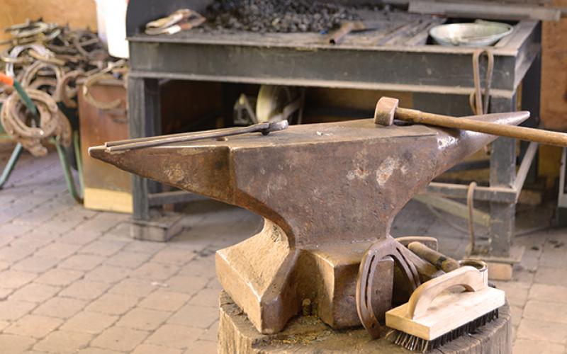 Forge portfolio warmfilter-DSC 5507