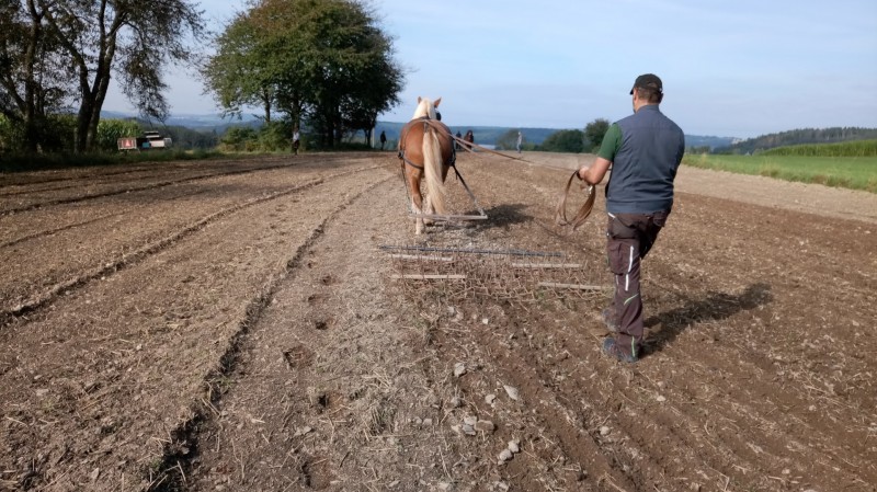 Travail du sol