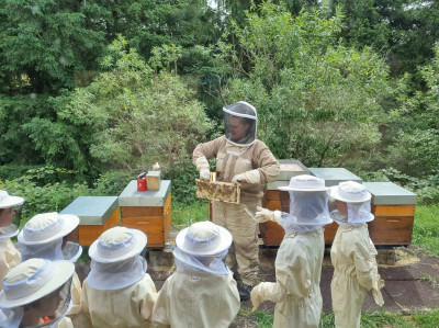 Atelier abeilles