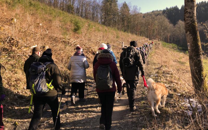 Agenda portfolio warmfilter-2018-02-25 09.49.11