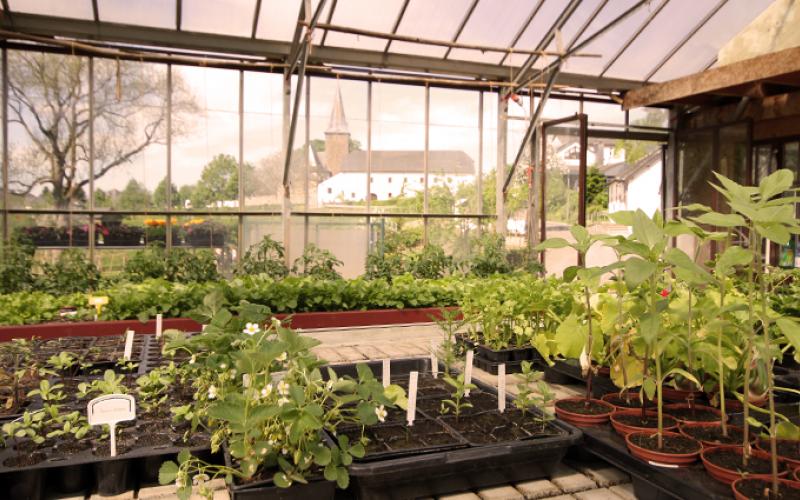 GoutOdorat portfolio warmfilter-IMG 8914