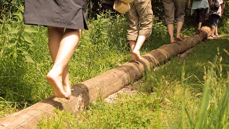 Zigzag portfolio warmfilter-barefootmain