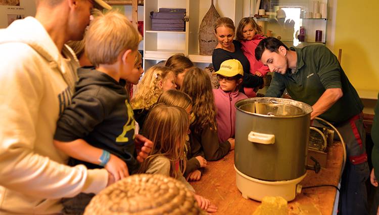 Bougie portfolio warmfilter-DSC 5066