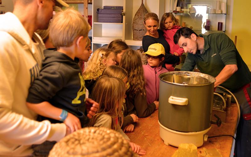 Bougie portfolio warmfilter-DSC 5066