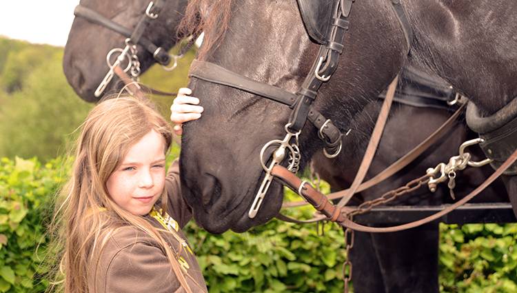 Calèche portfolio warmfilter-DSC 4839