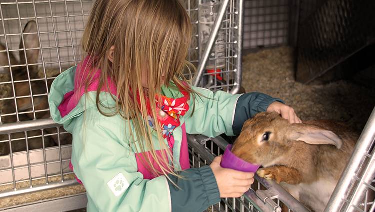 Animaux portfolio warmfilter-IMG 9236