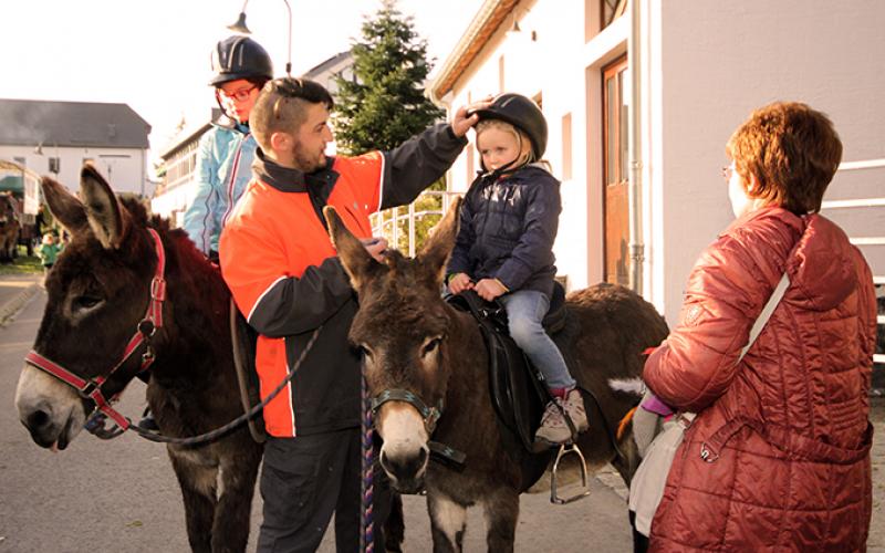 Ane portfolio warmfilter-IMG 3068