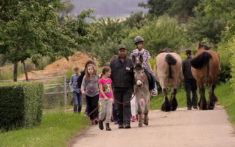 Ane portfolio warmfilter-IMG 1582