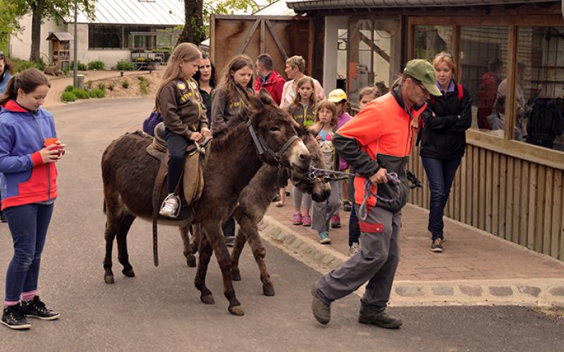 Ane portfolio warmfilter-DSC 4791