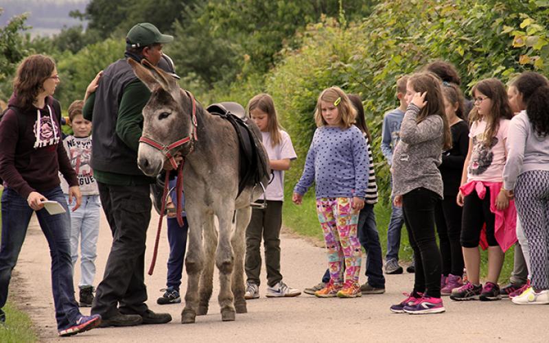 Ane portfolio warmfilter-IMG 1591