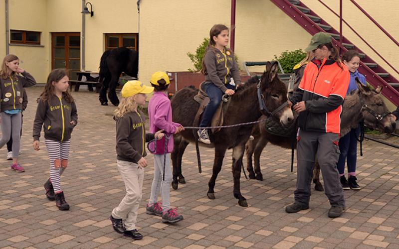 Ane portfolio warmfilter-DSC 4748