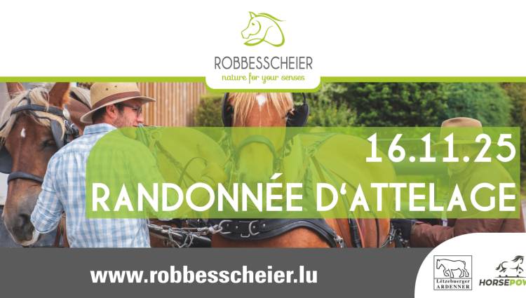 Rando attelage FBV 2025