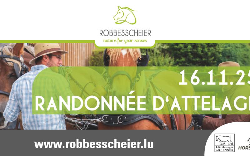 Rando attelage FBV 2025