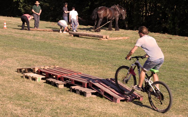 Parcours-vélo portfolio warmfilter-IMG 2235