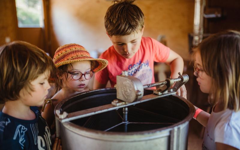 TCC-AlenaDex-2020-Abeilles (13)