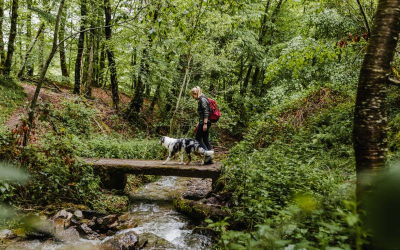 TCC TheRoadAbroad Randonnée Autopédestre Munshausen 2021 (26)
