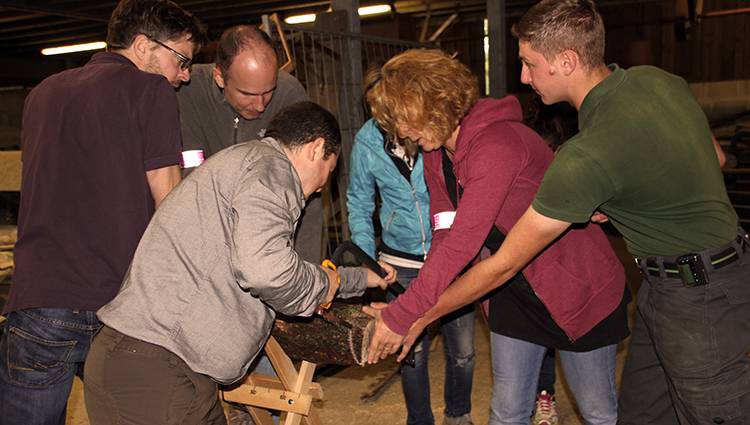 Scier-une-buche portfolio warmfilter-IMG 3046