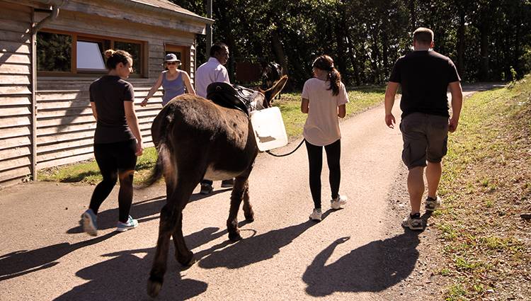 Parcours-d-ane portfolio warmfilter-IMG 1854