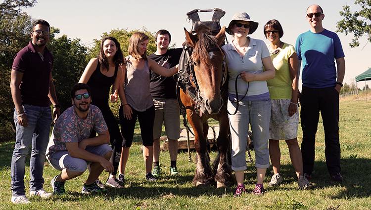 Cheval-ardennais portfolio warmfilter-DSC03983