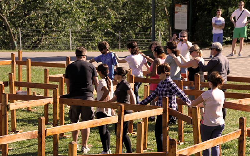 Labyrinthe portfolio warmfilter-IMG 2177