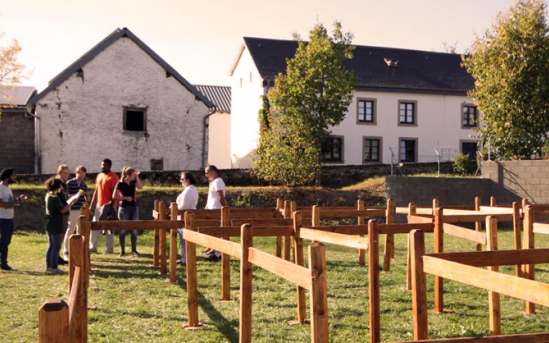 Labyrinthe portfolio warmfilter-IMG 2303