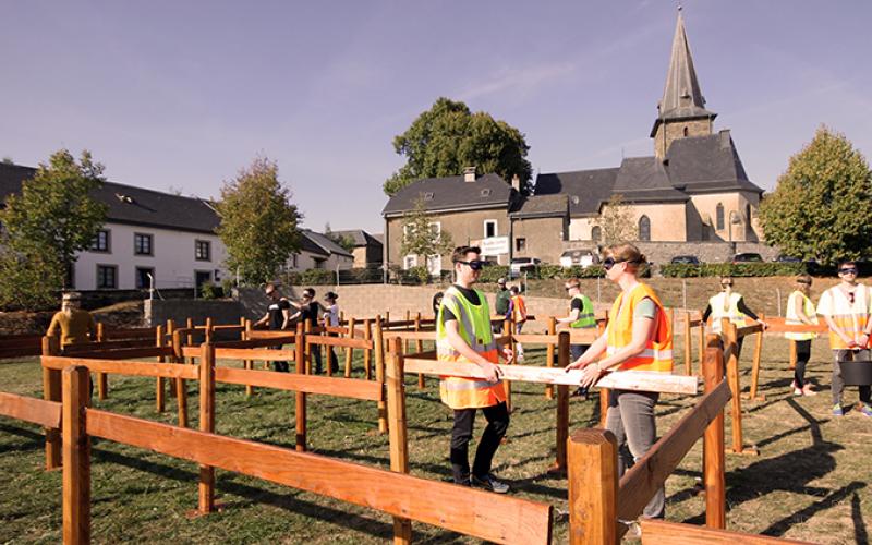 Labyrinthe portfolio warmfilter-IMG 2663