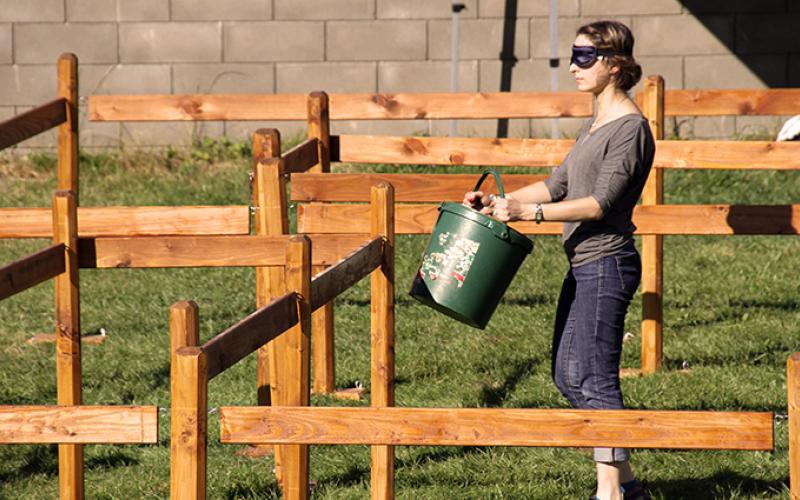 Labyrinthe portfolio warmfilter-IMG 2140