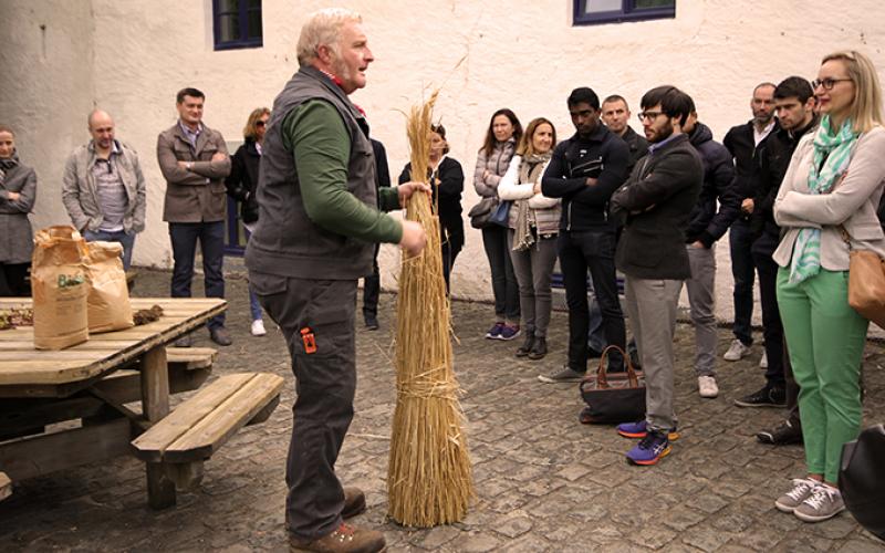 Meunier-pizza portfolio warmfilter-IMG 5675