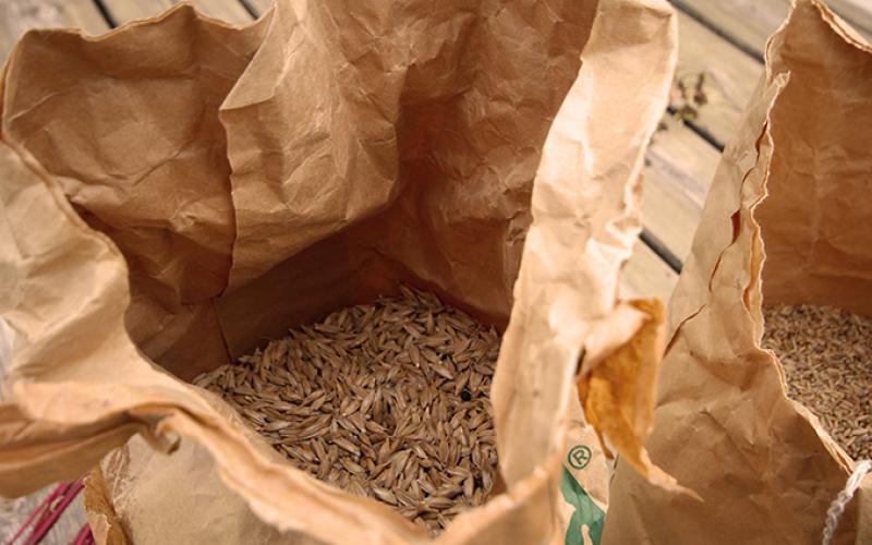 Meunier-pizza portfolio warmfilter-IMG 5688