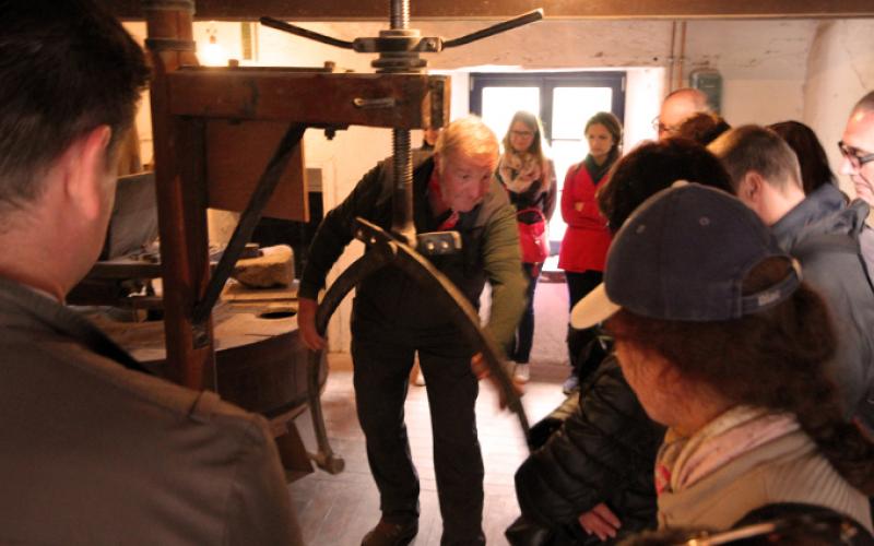 Meunier-pizza portfolio warmfilter-IMG 5696