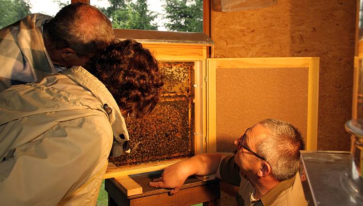 Apiculteur portfolio warmfilter-IMG 1006