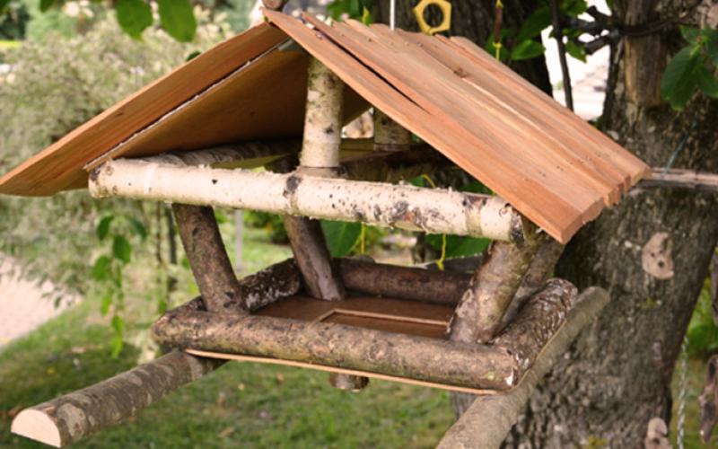 Débardage portfolio warmfilter-dsc 0056