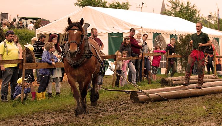 Débardage portfolio warmfilter-IMG 0133