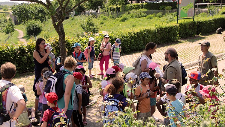 Schulen portfolio warmfilter-IMG 6889