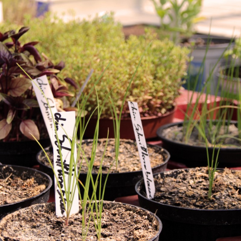 Restaurant portfolio warmfilter IMG IMG 6882