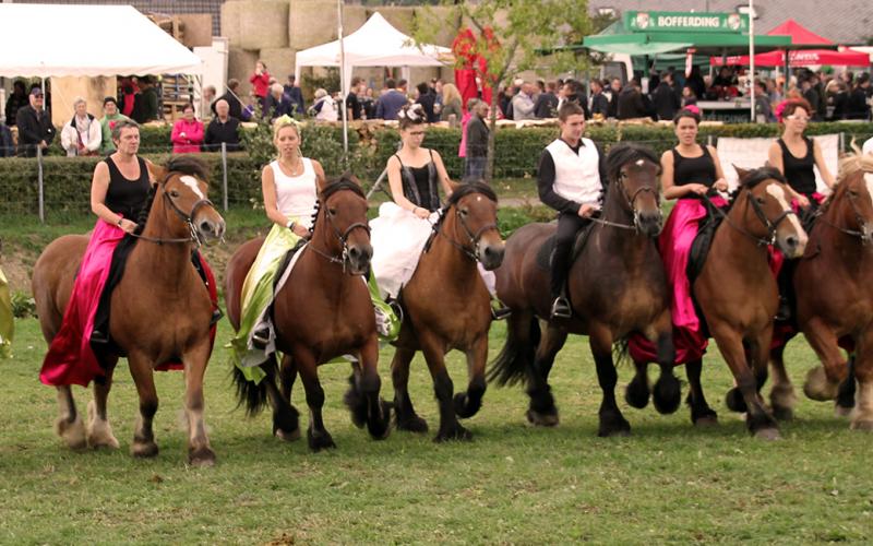 IMG 0768 warmfilter header