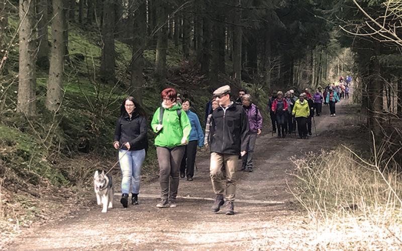 Agenda portfolio warmfilter-2017-03-12 11.25.48-1