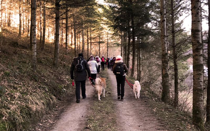 Agenda portfolio warmfilter-2018-02-25 09.41.35