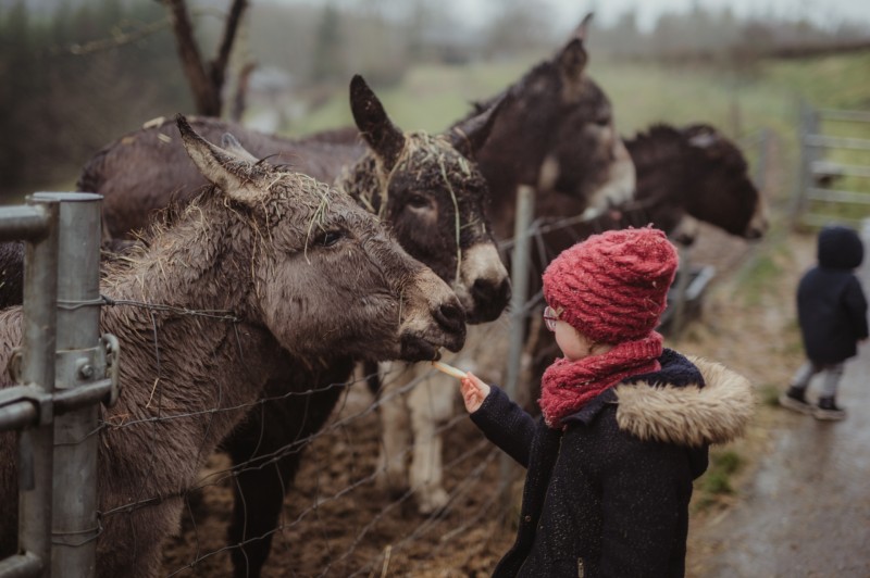 Robbescheier-mini-ferme-AlenaDexPhotography